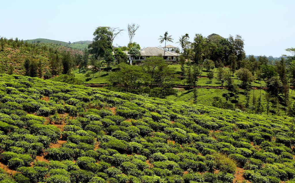 Hotel Parisons Plantation Experiences By Abad à Mananthavady Extérieur photo