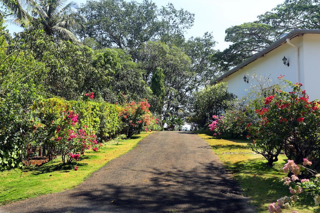 Hotel Parisons Plantation Experiences By Abad à Mananthavady Extérieur photo